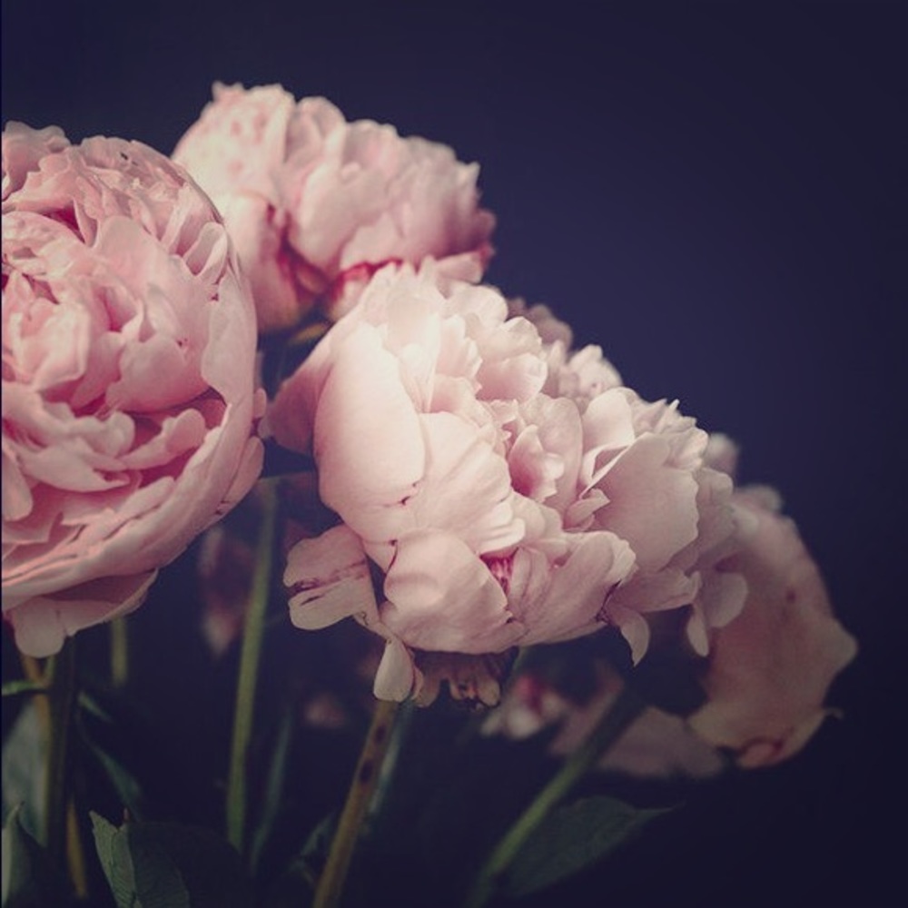 Meet your Posher, Juli